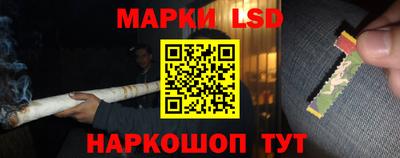 СК Донецк