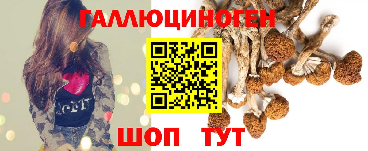 Псилоцибиновые грибы MAGIC MUSHROOMS Магнитогорск