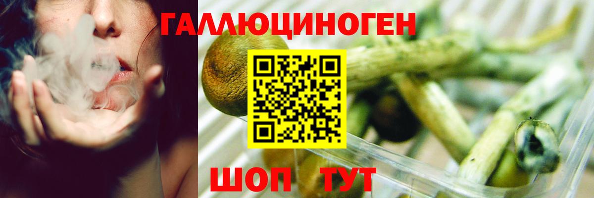 Магнитогорск  купить наркоту  Вход с VPN  Псилоцибиновые грибы GOLDEN TEACHER  Галлюциногенные грибы мухоморы 